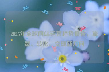 2025年全球網(wǎng)站運營趨勢報告，流量、轉(zhuǎn)化、變現(xiàn)新方向