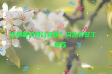 如何監(jiān)控網(wǎng)站宕機(jī)？自動(dòng)告警工具推薦