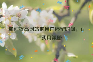 如何提高網(wǎng)站的用戶停留時間，15個實用策略
