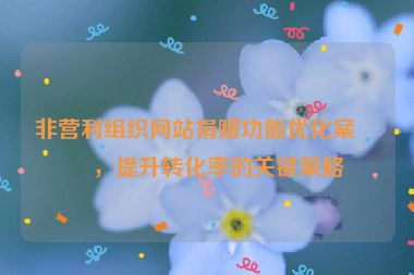 非營(yíng)利組織網(wǎng)站捐贈(zèng)功能優(yōu)化案例，提升轉(zhuǎn)化率的關(guān)鍵策略