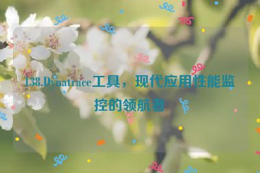 138.Dynatrace工具，現(xiàn)代應用性能監(jiān)控的領航者