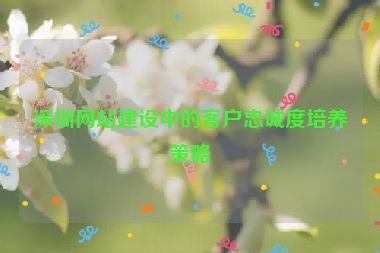 深圳網(wǎng)站建設(shè)中的客戶忠誠(chéng)度培養(yǎng)策略