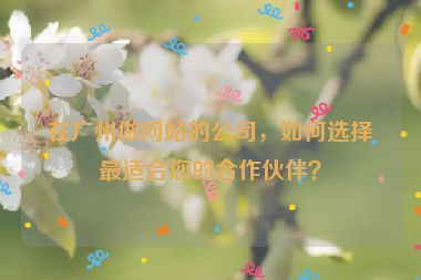 在廣州做網(wǎng)站的公司，如何選擇最適合您的合作伙伴？