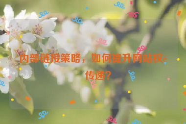 內(nèi)部鏈接策略，如何提升網(wǎng)站權重傳遞？