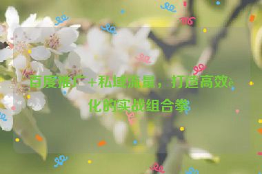 百度推廣+私域流量，打造高效轉(zhuǎn)化的實戰(zhàn)組合拳