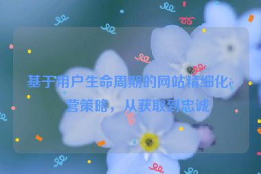 基于用戶生命周期的網(wǎng)站精細(xì)化運(yùn)營策略，從獲取到忠誠