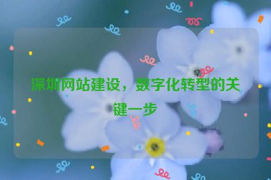 深圳網(wǎng)站建設(shè)，數(shù)字化轉(zhuǎn)型的關(guān)鍵一步
