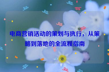電商營銷活動的策劃與執(zhí)行，從策略到落地的全流程指南