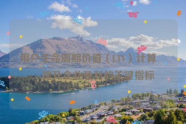 用戶(hù)生命周期價(jià)值（LTV）計(jì)算，提升企業(yè)盈利的關(guān)鍵指標(biāo)