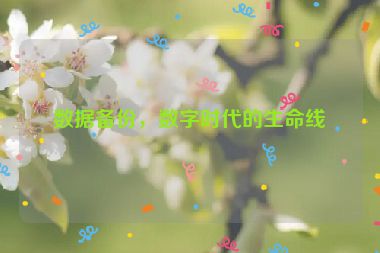 數(shù)據(jù)備份，數(shù)字時代的生命線