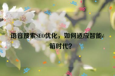 語音搜索SEO優(yōu)化，如何適應智能音箱時代？