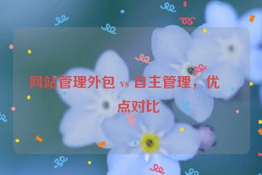 網(wǎng)站管理外包 vs 自主管理，優(yōu)缺點(diǎn)對(duì)比