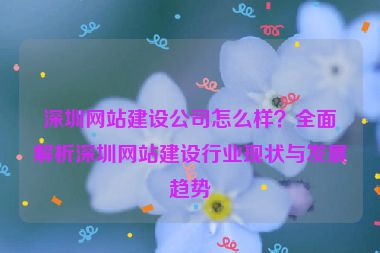 深圳網(wǎng)站建設(shè)公司怎么樣？全面解析深圳網(wǎng)站建設(shè)行業(yè)現(xiàn)狀與發(fā)展趨勢(shì)