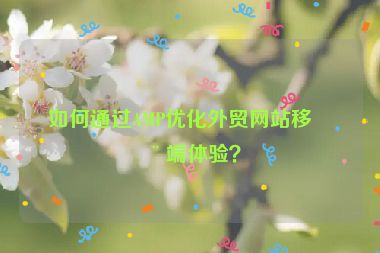 如何通過AMP優(yōu)化外貿(mào)網(wǎng)站移動端體驗？