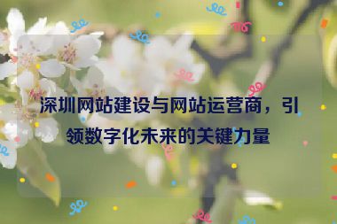 深圳網(wǎng)站建設(shè)與網(wǎng)站運營商，引領(lǐng)數(shù)字化未來的關(guān)鍵力量