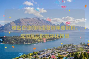 知名企業(yè)的網(wǎng)絡(luò)營銷策略剖析，成功背后的數(shù)字化智慧