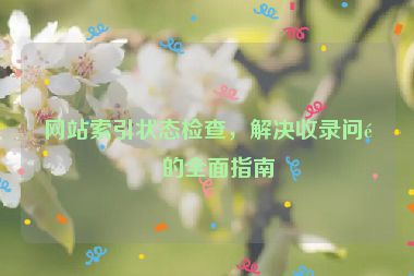 網(wǎng)站索引狀態(tài)檢查，解決收錄問(wèn)題的全面指南