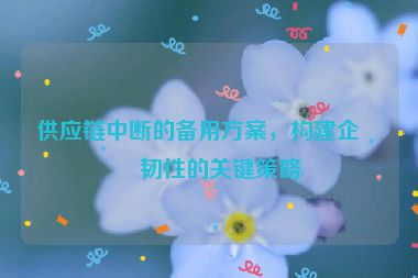 供應鏈中斷的備用方案，構建企業(yè)韌性的關鍵策略