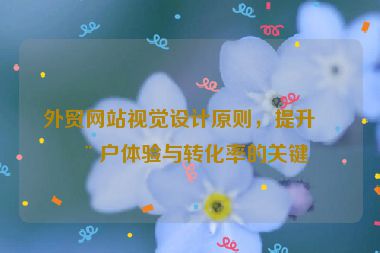 外貿(mào)網(wǎng)站視覺設(shè)計原則，提升用戶體驗與轉(zhuǎn)化率的關(guān)鍵