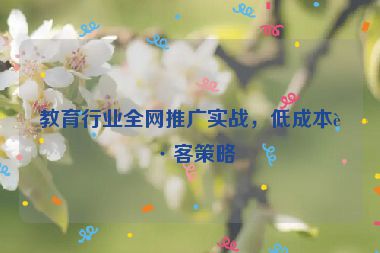教育行業(yè)全網(wǎng)推廣實(shí)戰(zhàn)，低成本獲客策略