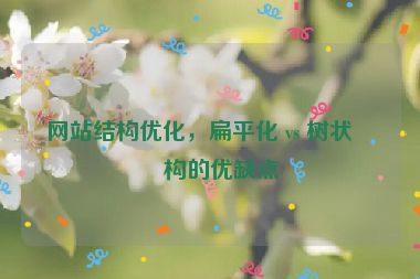網(wǎng)站結(jié)構(gòu)優(yōu)化，扁平化 vs 樹(shù)狀結(jié)構(gòu)的優(yōu)缺點(diǎn)
