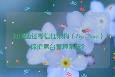 如何通過零信任架構(gòu)（Zero Trust）保護(hù)后臺管理系統(tǒng)？
