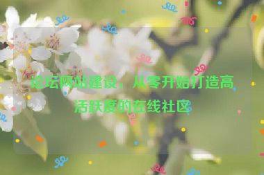 論壇網(wǎng)站建設(shè)，從零開始打造高活躍度的在線社區(qū)