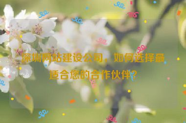 深圳網(wǎng)站建設(shè)公司，如何選擇最適合您的合作伙伴？