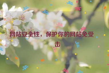 網(wǎng)站安全性，保護(hù)你的網(wǎng)站免受攻擊