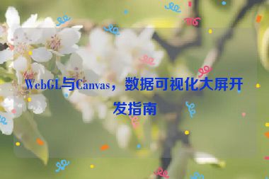 WebGL與Canvas，數(shù)據(jù)可視化大屏開(kāi)發(fā)指南