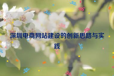 深圳電商網(wǎng)站建設(shè)的創(chuàng)新思路與實踐