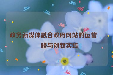 政務新媒體融合政府網(wǎng)站的運營策略與創(chuàng)新實踐