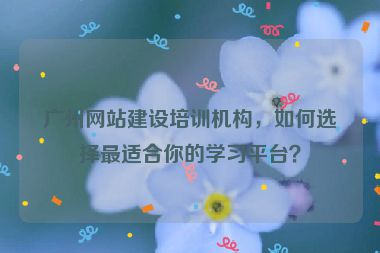 廣州網(wǎng)站建設(shè)培訓(xùn)機構(gòu)，如何選擇最適合你的學(xué)習(xí)平臺？
