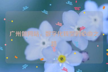 廣州做網(wǎng)站，數(shù)字化轉(zhuǎn)型的必由之路