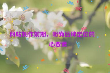 網(wǎng)站制作前期，明確品牌定位的核心要素