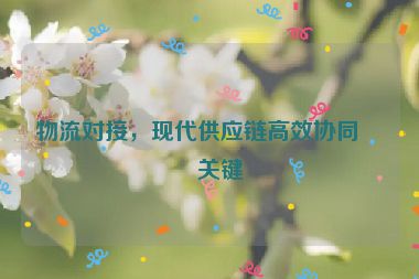 物流對接，現(xiàn)代供應(yīng)鏈高效協(xié)同的關(guān)鍵
