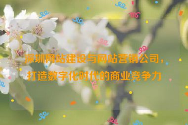 深圳網(wǎng)站建設(shè)與網(wǎng)站營銷公司，打造數(shù)字化時代的商業(yè)競爭力