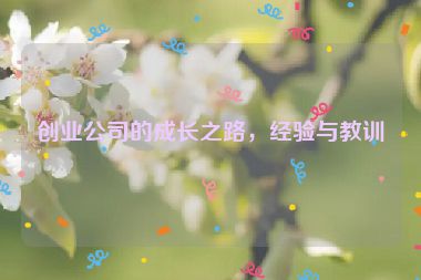 創(chuàng)業(yè)公司的成長之路，經(jīng)驗與教訓(xùn)