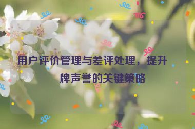 用戶(hù)評(píng)價(jià)管理與差評(píng)處理，提升品牌聲譽(yù)的關(guān)鍵策略