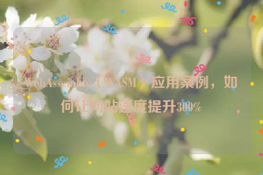 WebAssembly（WASM）應(yīng)用案例，如何讓網(wǎng)站速度提升300%