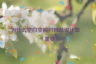 為什么空白空間對網(wǎng)站設(shè)計(jì)如此重要？