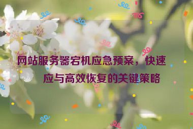 網(wǎng)站服務器宕機應急預案，快速響應與高效恢復的關鍵策略