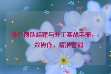 推廣團隊組建與分工實戰(zhàn)手冊，高效協(xié)作，精準營銷