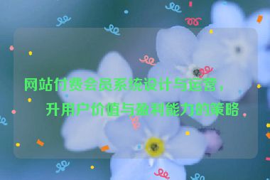 網(wǎng)站付費會員系統(tǒng)設(shè)計與運營，提升用戶價值與盈利能力的策略