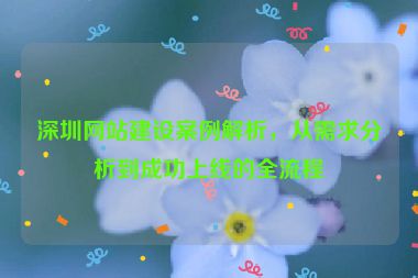 深圳網(wǎng)站建設(shè)案例解析，從需求分析到成功上線的全流程