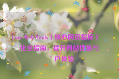 Core Web Vitals（核心網(wǎng)頁(yè)指標(biāo)）優(yōu)化全指南，提升網(wǎng)站性能與用戶(hù)體驗(yàn)