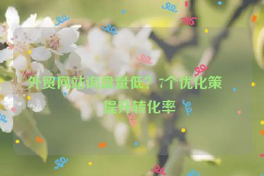 外貿(mào)網(wǎng)站詢盤量低？7個優(yōu)化策略提升轉(zhuǎn)化率