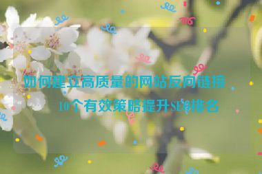如何建立高質(zhì)量的網(wǎng)站反向鏈接？10個有效策略提升SEO排名