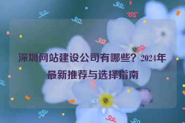 深圳網(wǎng)站建設(shè)公司有哪些？2024年最新推薦與選擇指南