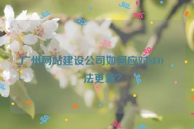 廣州網(wǎng)站建設(shè)公司如何應(yīng)對(duì)SEO算法更新？